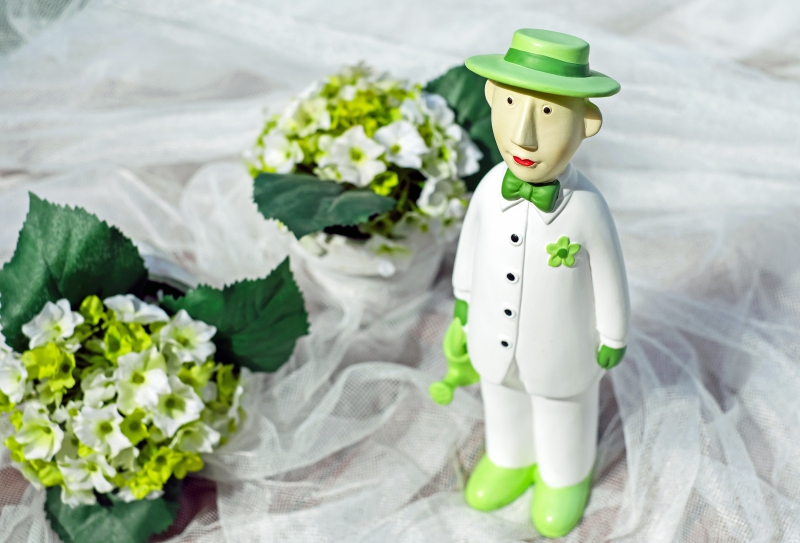 vitrine-NICE-min_man-person-flower-green-toy-fig-546529-pxhere.com